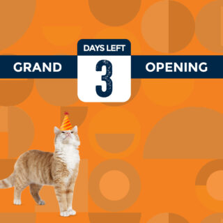 Join us for our Open House event from 12pm to 3pm on Saturday and get ready to paw-ty with some cute kitties! The countdown is on and we're fur-iously getting ready for our Grand Opening in 3 days!

#WhiskersAndSoda #CatCafe #OpenHouse #GrandOpening