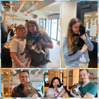 Sip, cuddle, and change a life at Whiskers And Soda Cat Cafe! Every person who walks through our doors contributes to the greater cause of helping a fur baby find their fur-ever home.  Here are just a few of our recent adopters.

#WhiskersAndSoda #CatCafe