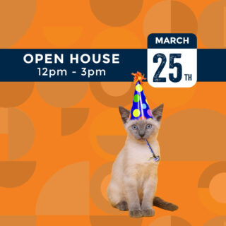 Get ready to paw-ty with Whiskers and Soda's Open House event on March 25th! Fur-real, we've got live music, whisker-lickin' snacks, and refreshing drinks that will have you feline fine!

#WhiskersAndSoda #CatCafe