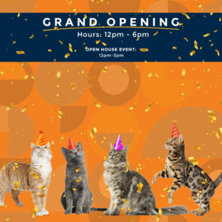 Meow's the time to stop by! Whiskers and Soda Cat Cafe is officially open. Don't miss our Grand Opening and Open House event filled with live music and refreshments!

#WhiskersAndSoda #CatCafe #GrandOpening #OpenHouse