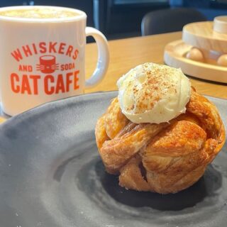 Get your caffeine and cat fix all in one place at Whiskers And Soda Cat Cafe! Our Carmel Meowchiato and Cinnamon Braid with cream cheese filling are the perfect treats to enjoy while snuggling up with our furry friends.

#WhiskersAndSoda #CatCafe
